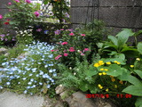 CIMG0349