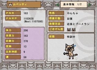 rupety_3