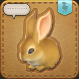 min_dwa