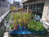 20120901_03