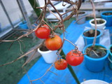 IMG_4637