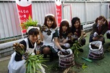 2011syukaku_19