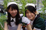 IMGP1584