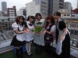 saien20130530_04