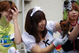 IMGP1543