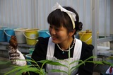 2011syukaku_18