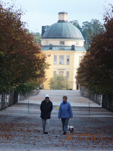315Drottningholmslott