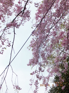 033_釜石33