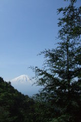 2a6a70e7.jpg