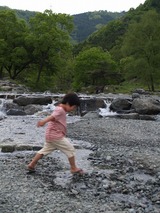 42508003.jpg