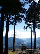 P10118860