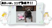 いかがお過ごしィ～？