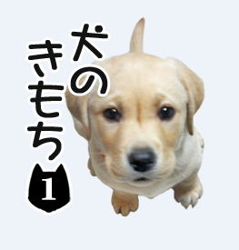 ¸¤¤Î¤¤â¤Á¡¡LINE¡¡¥¹¥¿¥ó¥×
