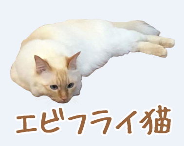 LINE¡¡¥¹¥¿¥ó¥×¡¡¥Í¥³¡¡¥¨¥Ó¥Õ¥é¥¤¡¡¥¨¥Ó¥Õ¥é¥¤Ç