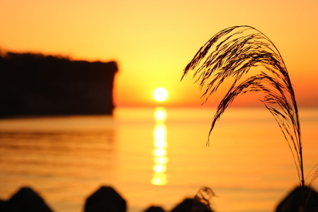 ¤À¤ë¤ÞÂÀÍÛ¡¡É¹¸«»Ô¡¡°¤Èø¡¡±À¡¡±À¤Î±é½Ð¡¡»£±Æ¡¡¥Ý¥¤¥ó¥È (13)