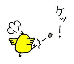 26¡¡¥±¥Ã¡¡Åܤ롡Åܤ롡½³¤ë