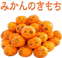 ¤ß¤«¤ó¤Îµ¤»ý¤Á¡¡Æü¾ï¡¡²ñÏá¡LINE¡¡¥¹¥¿¥ó¥×