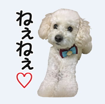 ¸¤¤Î¤¤â¤Á¡¡LINE¡¡¥¹¥¿¥ó¥×¡¡¸¤¡¡¤Í¤§¤Í¤§