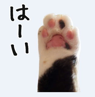 LINE¥¹¥¿¥ó¥×¡¡¥Í¥³¡¡Ç¡¡¥¹¥¿¥ó¥×¡¡À©ºî