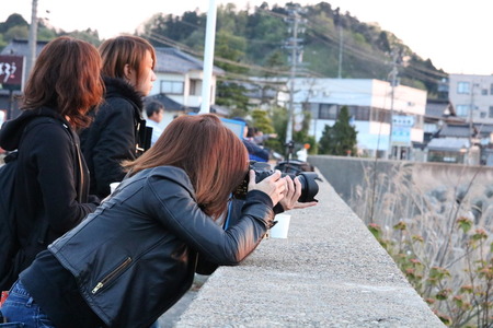 02¡¡¤À¤ë¤ÞÂÀÍÛ¡¡É¹¸«»Ô¡¡Ä«ÍÛ¡¡¥·¥ë¥¨¥Ã¥È (7)