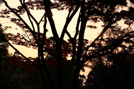 ¸î¹ñ»û¡¡¤·¤ã¤¯¤Ê¤²»û¡¡Ä«ÆüÄ®¡¡ÀÐÆï²Ö (23)