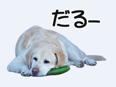 LINE¡¡¥¹¥¿¥ó¥×¡¡¤À¤ë¤¤