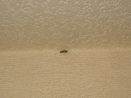 75f74f11.jpg