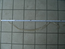 ab995abc.jpg
