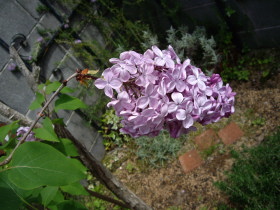 af98a9b7.jpg