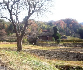 d07c0a10.jpg