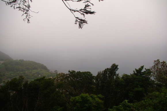 IMGP7137