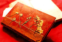 Orange_book_and_flowers
