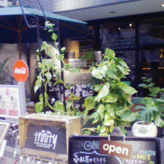20091125-1