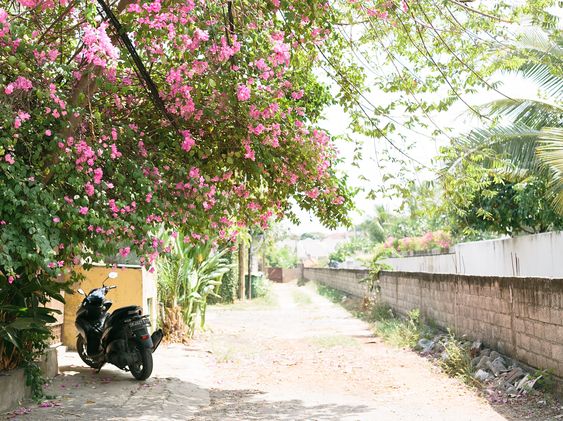 bali2018