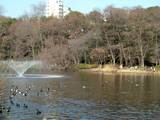 井の頭公園