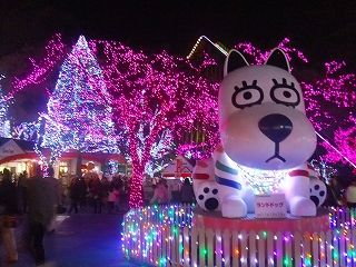 DSCF0914