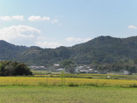 タマキ