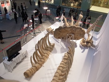R0011876