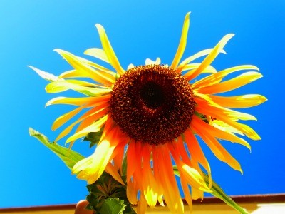 R0044301