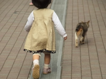 幼稚園児の萌ｴﾛﾘ画像47->画像>507枚 