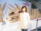 R0011797
