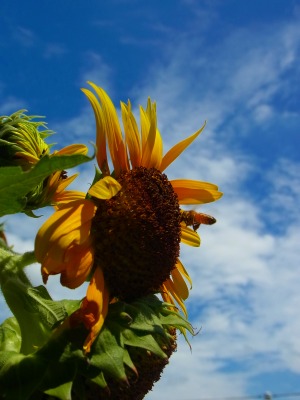 R0044314