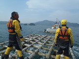 400b34de.jpg