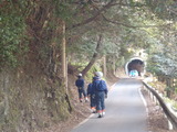 4c9d049f.jpg