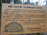 d8c52f4e.jpg