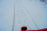 DSC05251