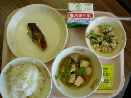 給食