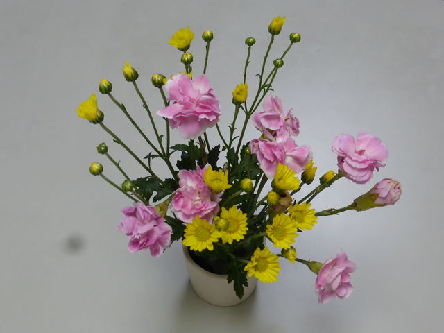 P3950756