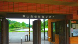 nagoya12