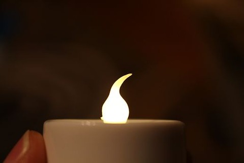 IMG_0495